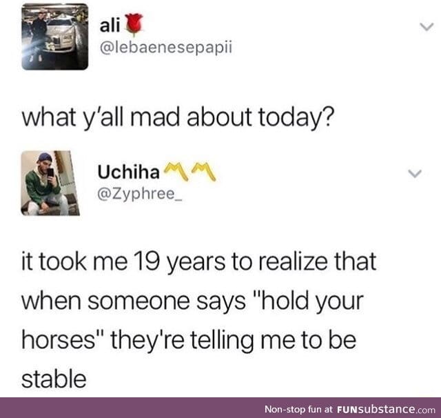 Hold your horses