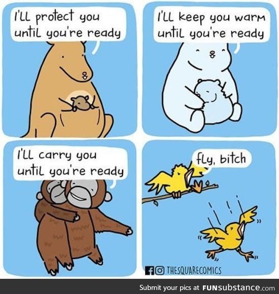 Birds are metal