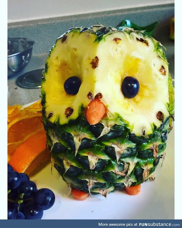 Pineapple owl