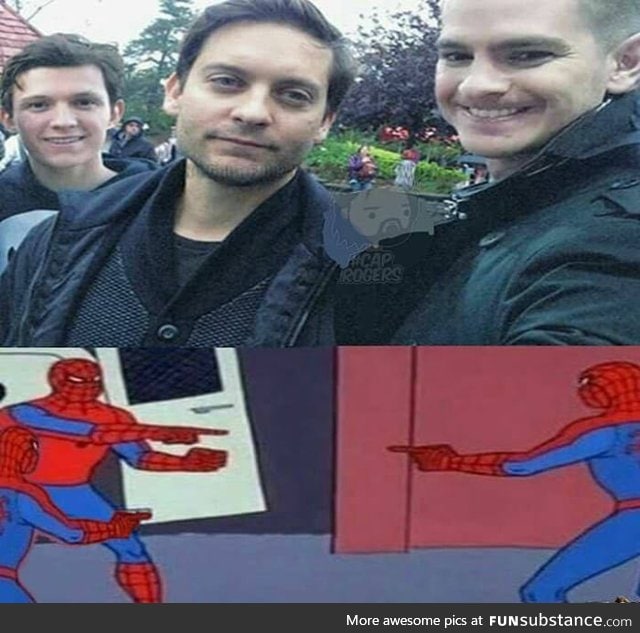 Spideyverse