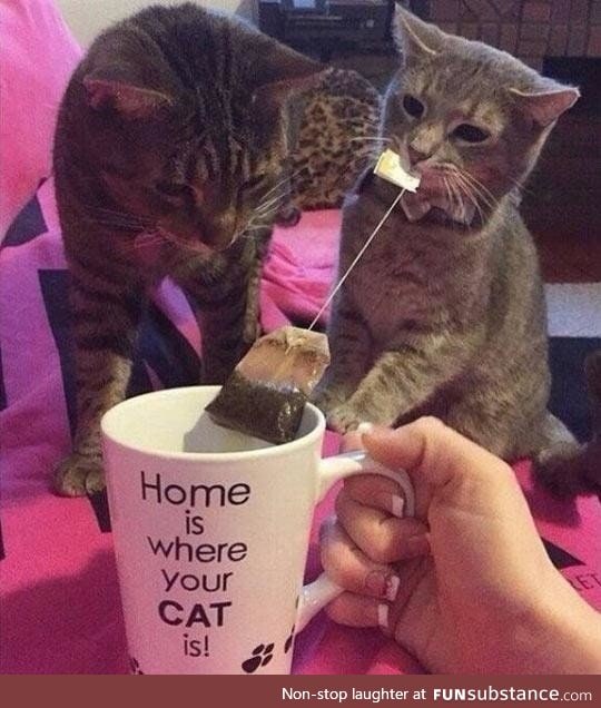 Dis is mine teabag