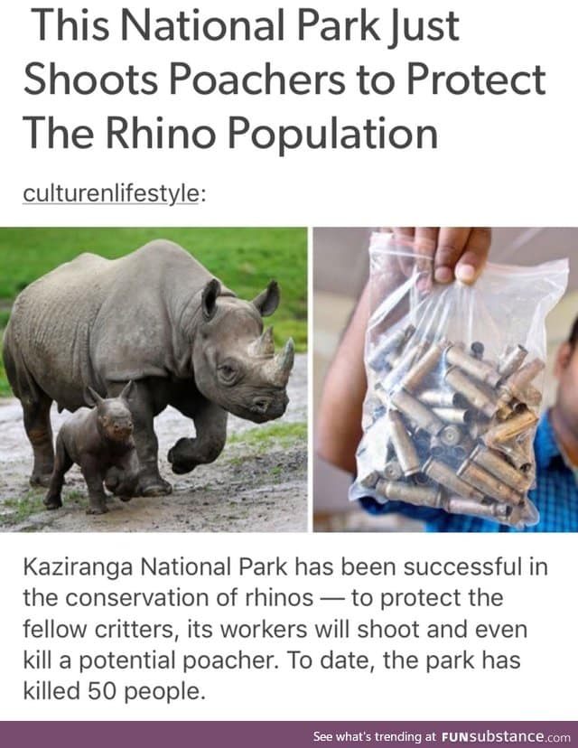 Killing poachers to save rhinos