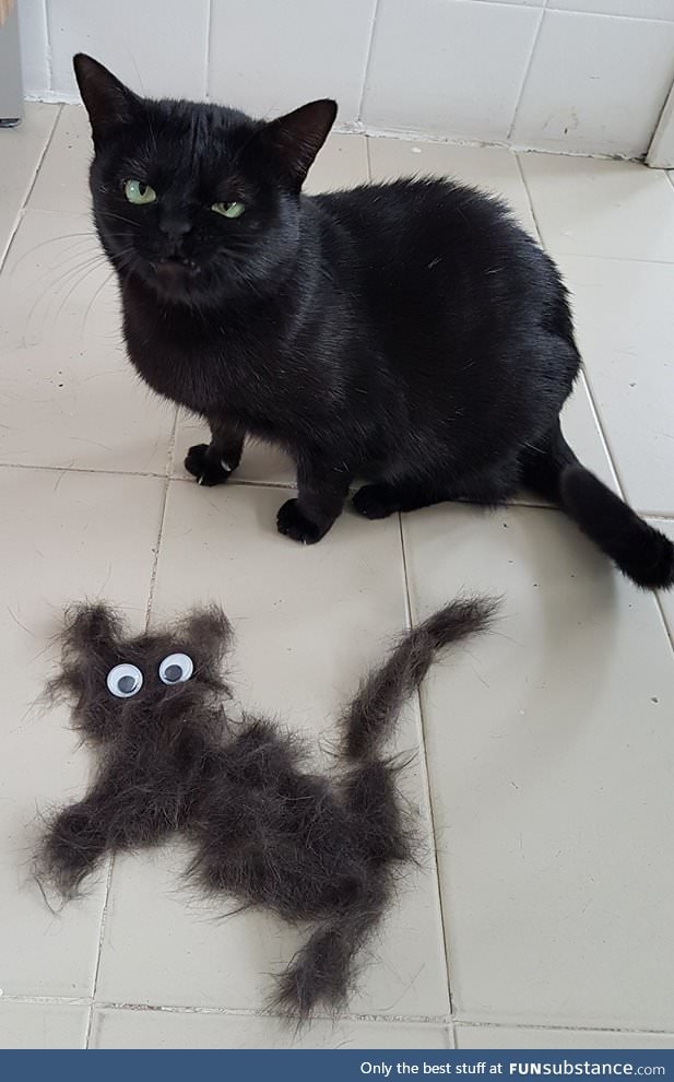 i present you.. the brushy monster