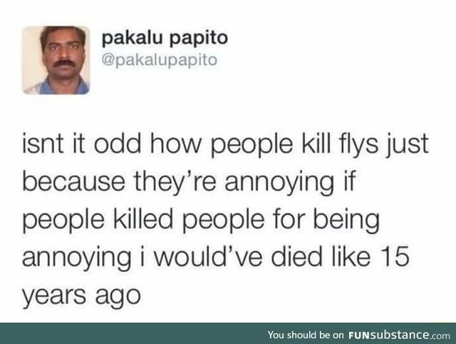 Flies lives matter