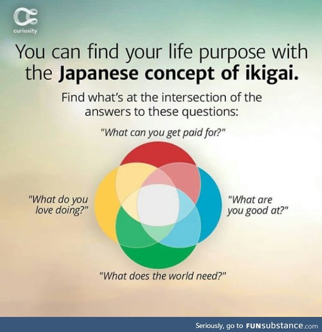 Find your ikigai