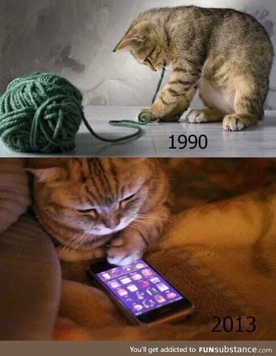 90s Cats Will Understand