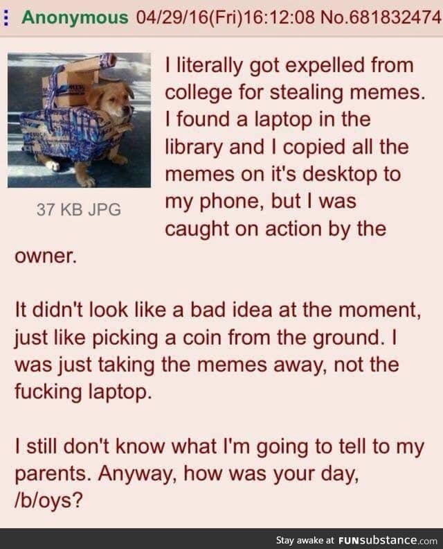 Anon got in trouble for stealing memes