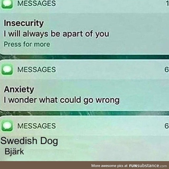 Can never hate Swedish dogs