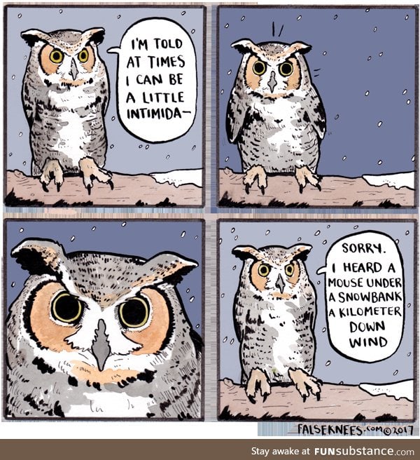 Owls