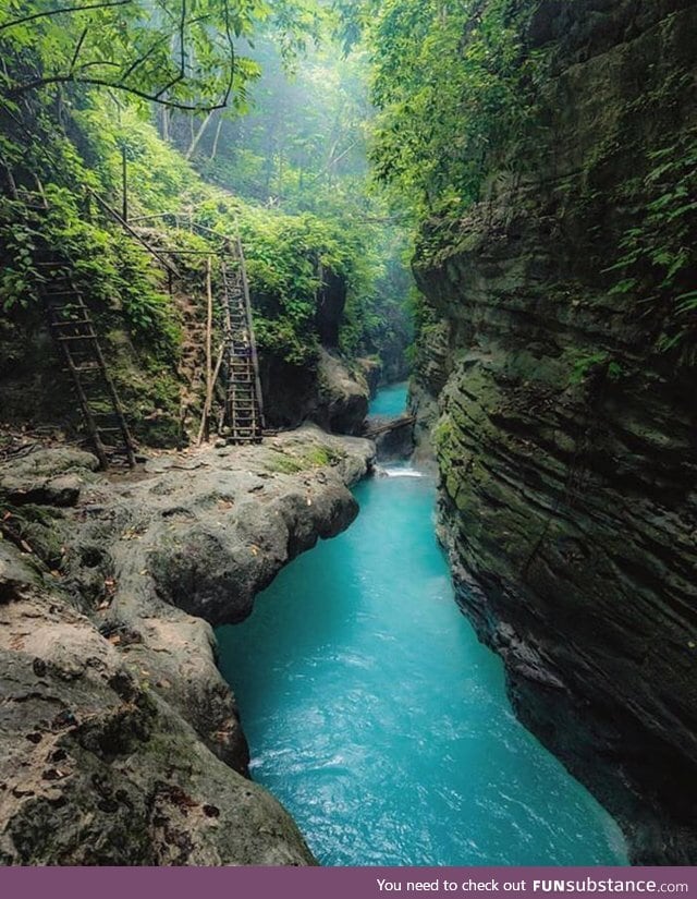 Stunning hidden Oasis