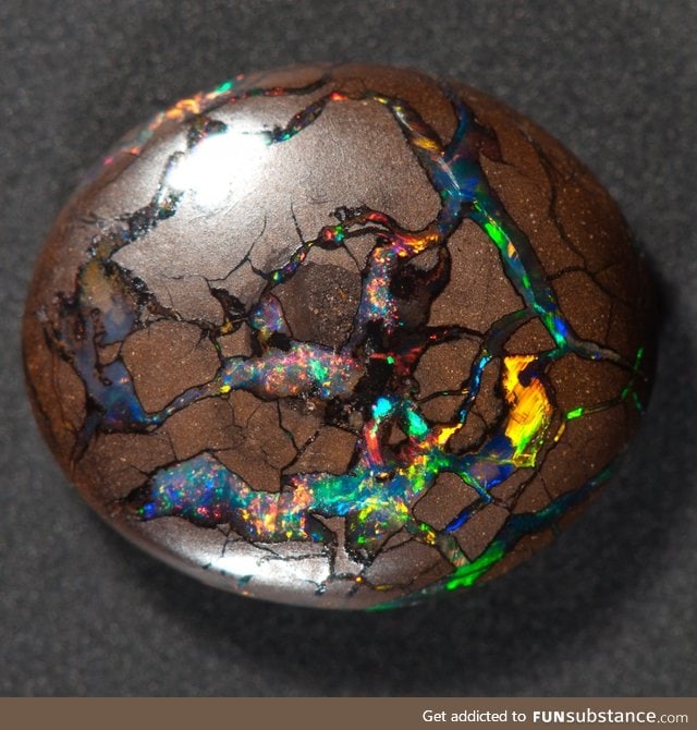 Boulder opal