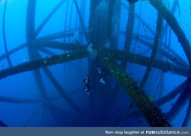 Scuba diving near oil rig legs