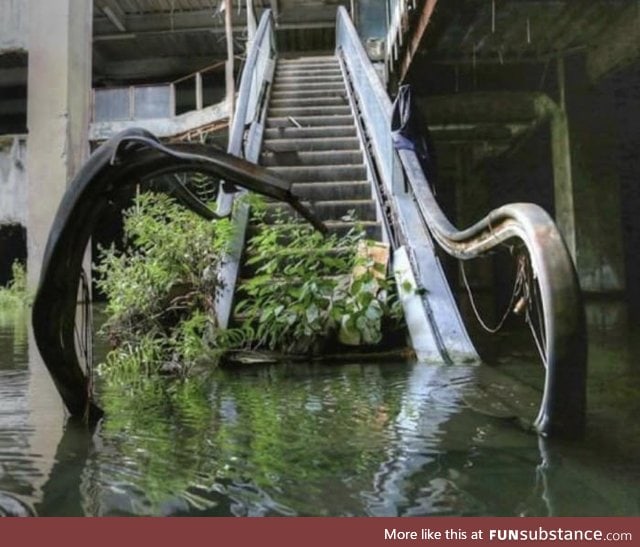 Nature reclaiming mall after it was abandoned