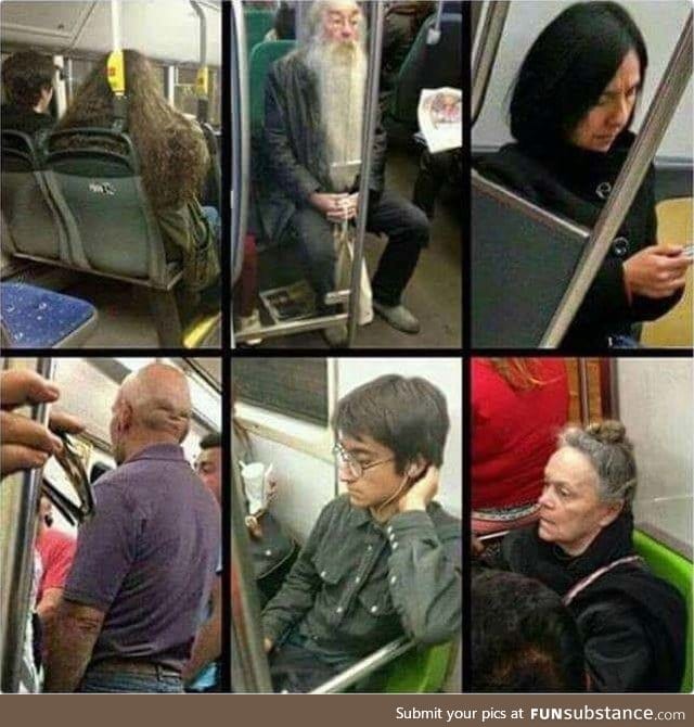 Budget Harry Potter cast