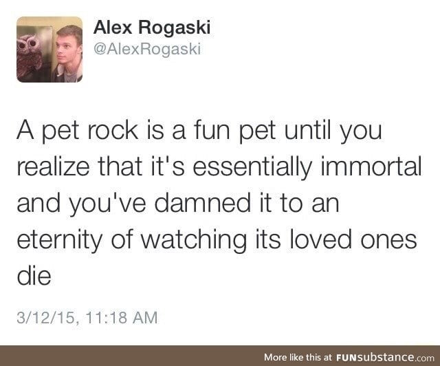 The sad thing about pet rock