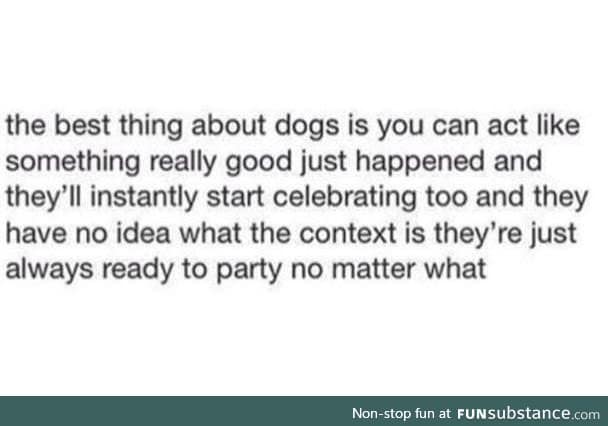 Best thing about a dog