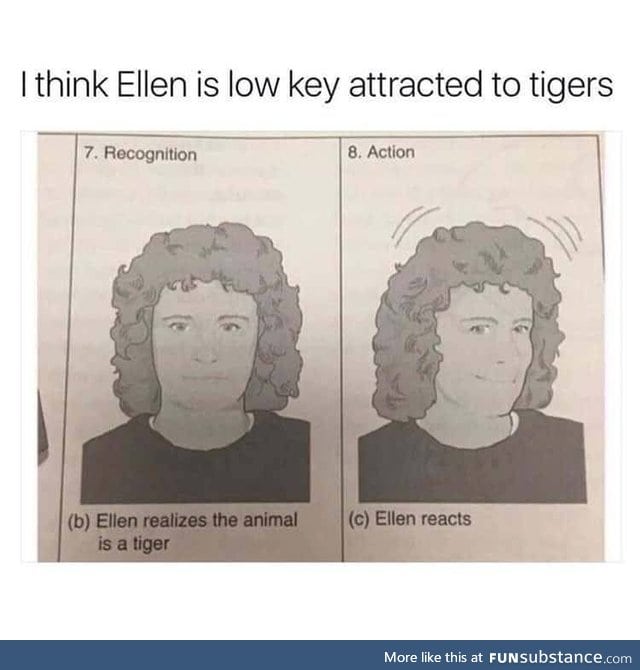 How to react to tigers