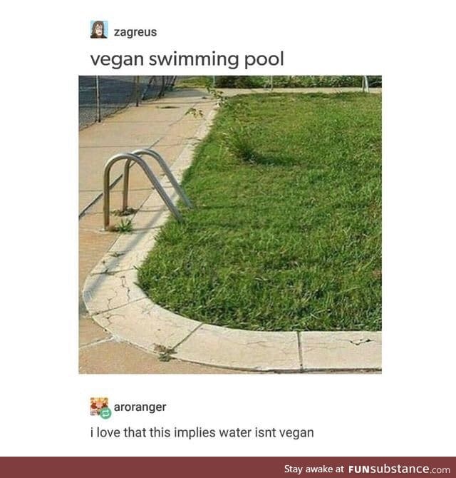 Hey guys, I'm vegan