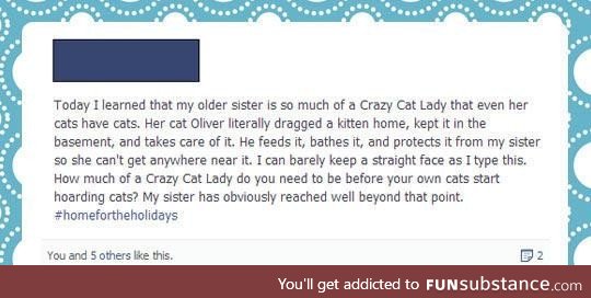 The ultimate cat lady