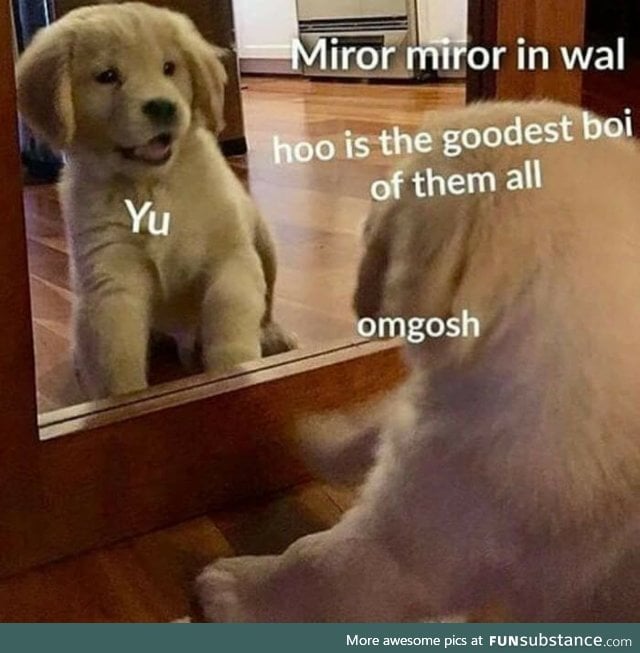 He the goodest doggo