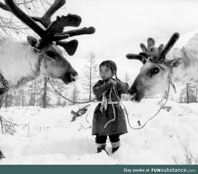 Nomad child in Mongolia with her reindeer