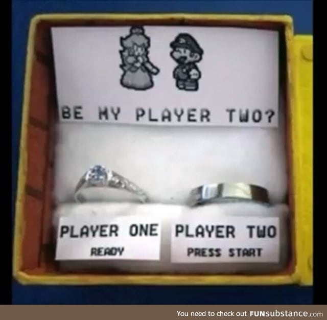 Gamer proposal