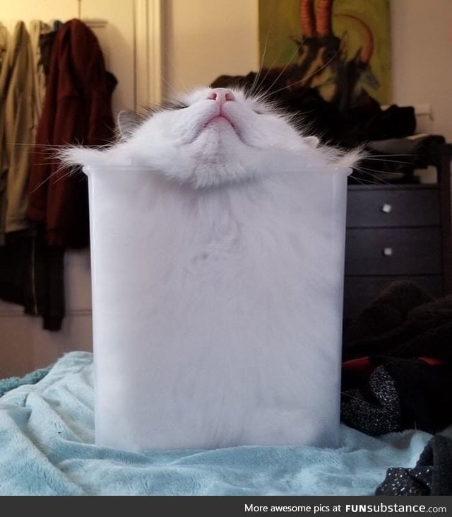 Proof that cat is liquid