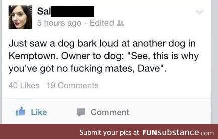 Dammit dave