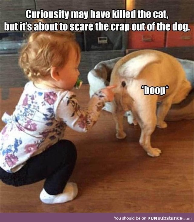 boop