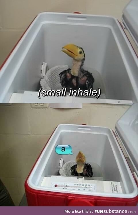 Small inhale