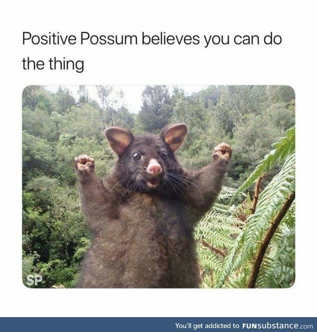 You can do it!