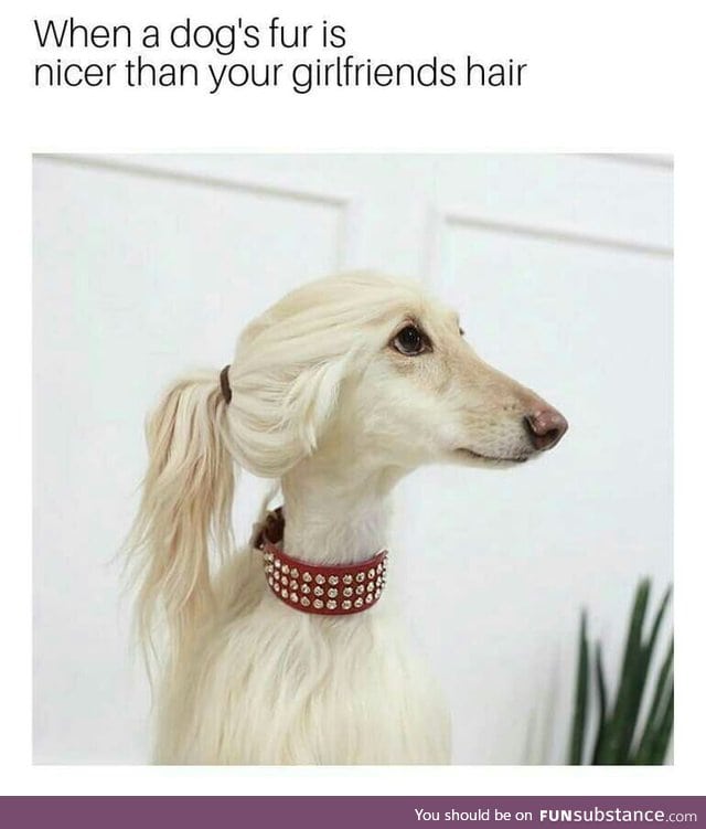 Nice hair