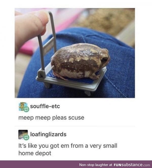 Smol boulder fren