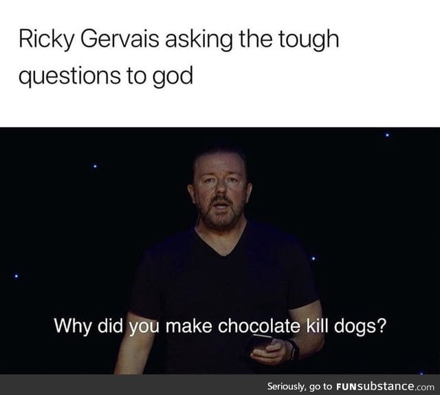 Asking the real questions