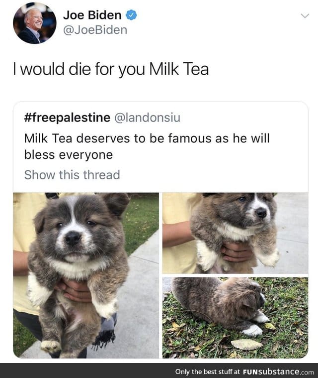 Milk tea