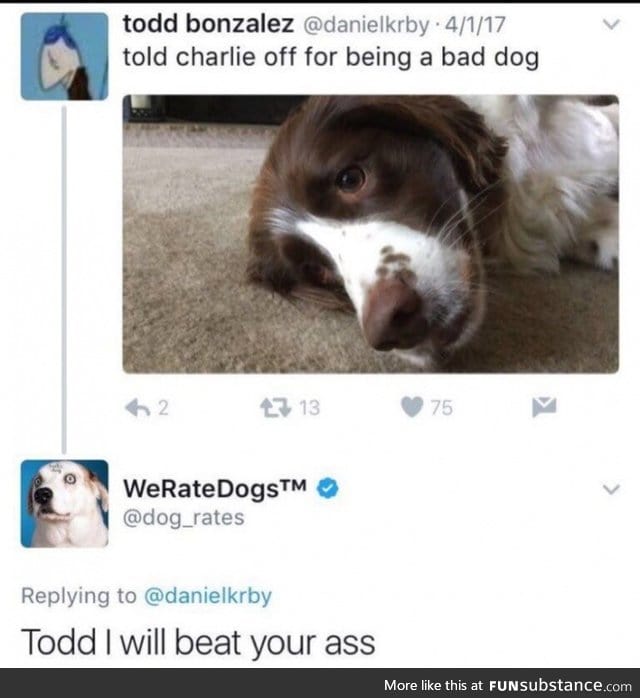 Dammit todd