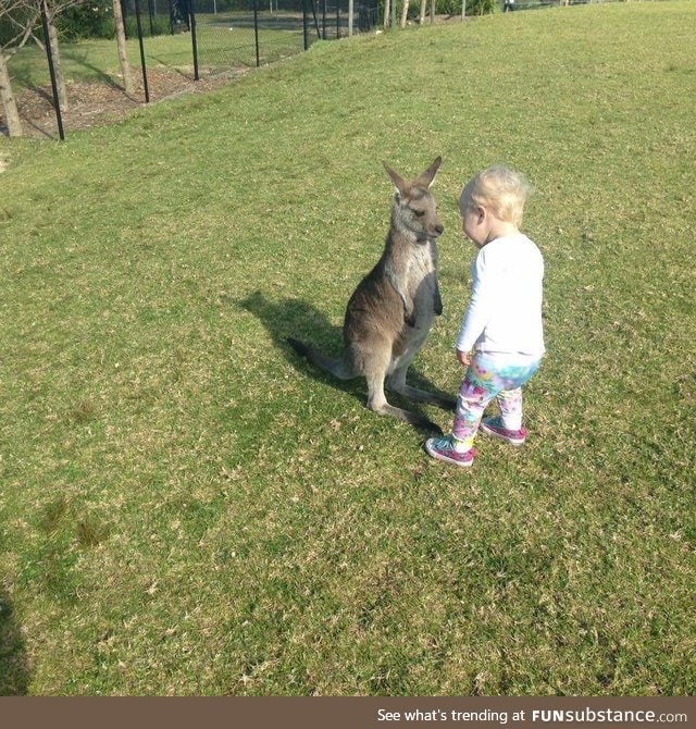 The "U what m8?" standoff, toddler edition