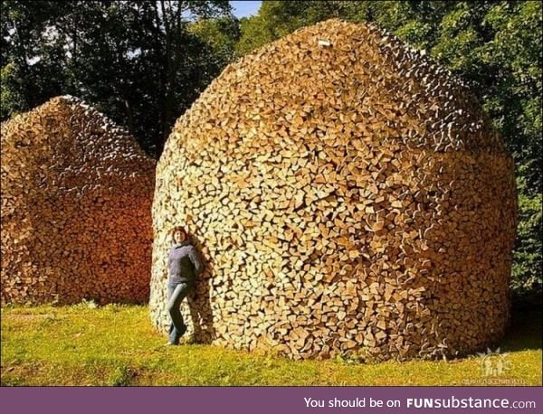 Now those are some piles of firewood