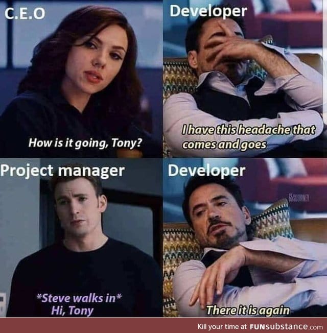 Project Manager