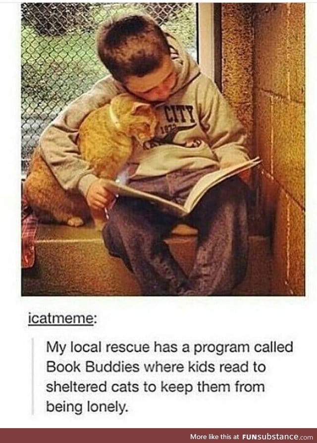 Book buddies