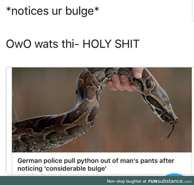 OwO