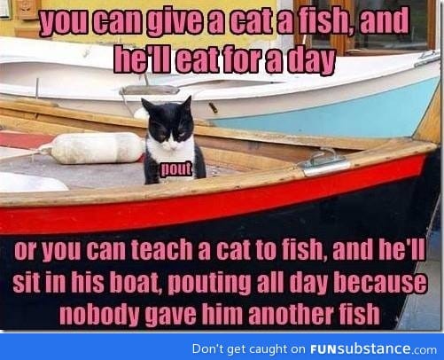 You can give a cat a fish