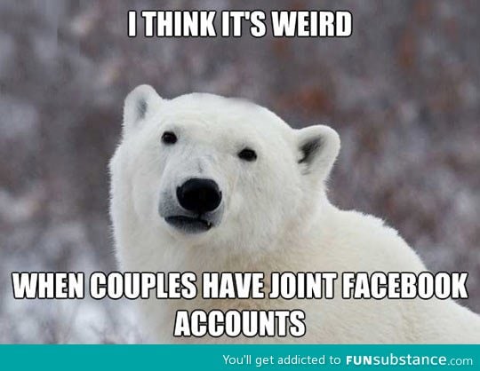 Popular opinion polar bear