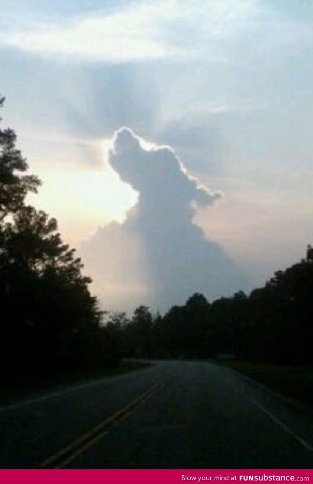 All dogs go to heaven