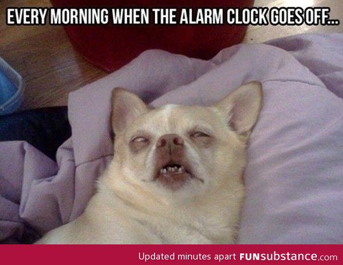 Alarm clock