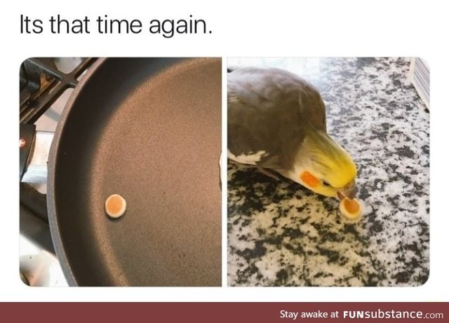 Pancake for birb