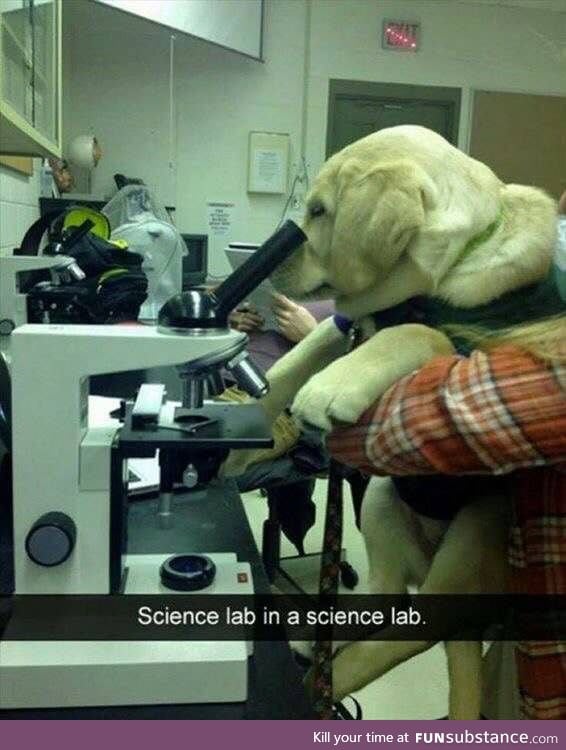 Science lab