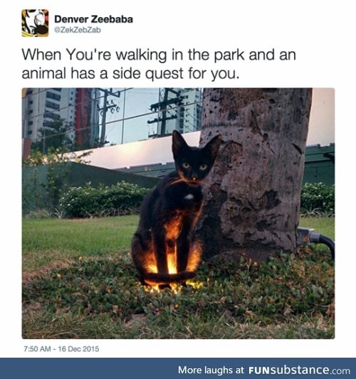 Quest: pet the kitty