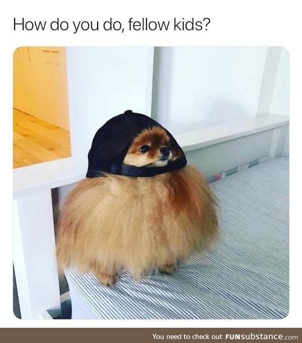 Such fashion, much floof