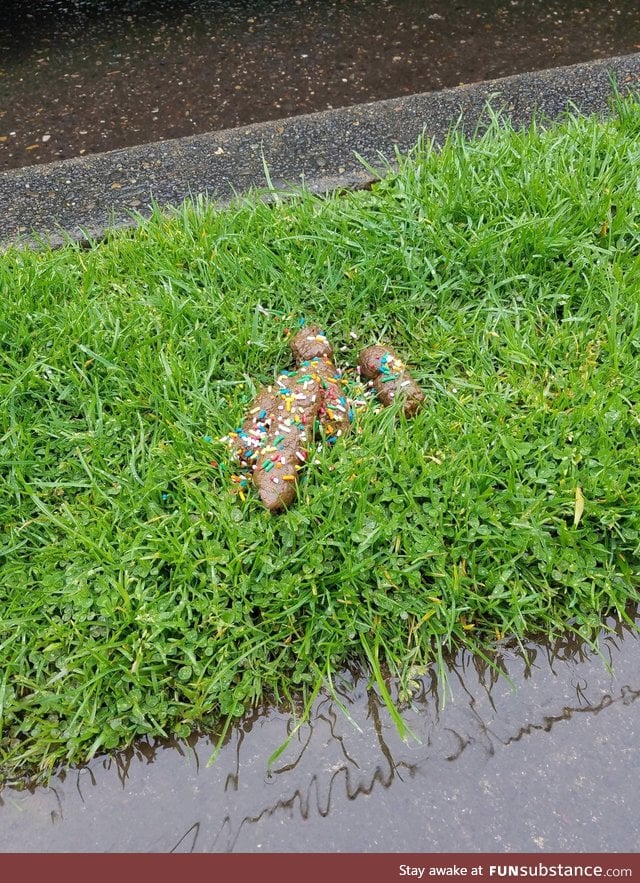 Someone put sprinkles on this dog poop